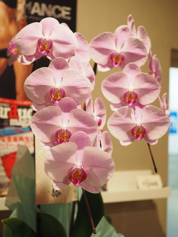 トーンは３年目に突入しました