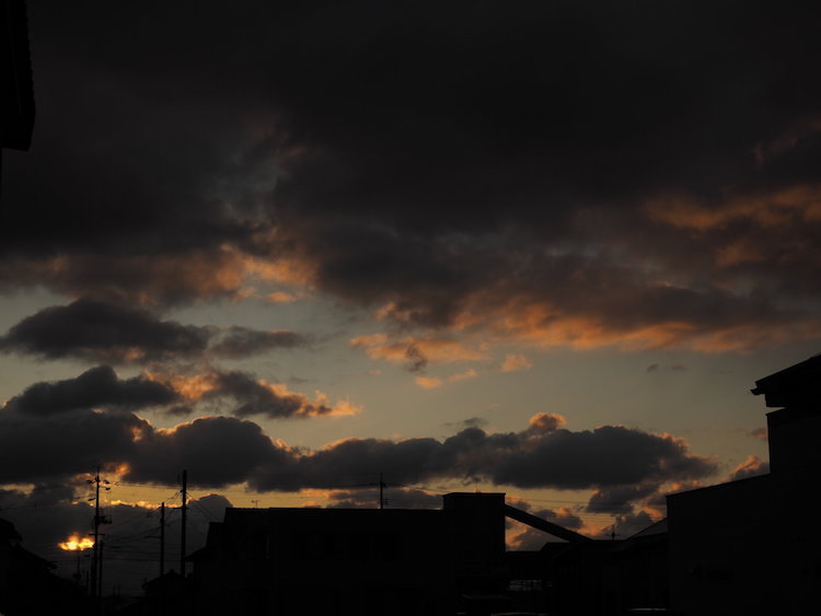 ２０１９年もお世話になりました