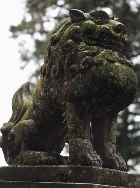 あけましておめでとうございます